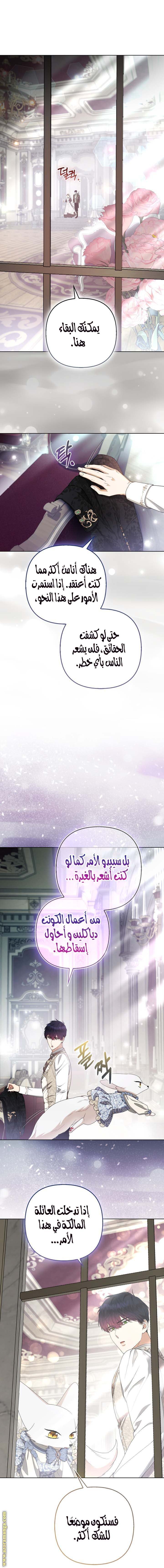 الصفحة 14