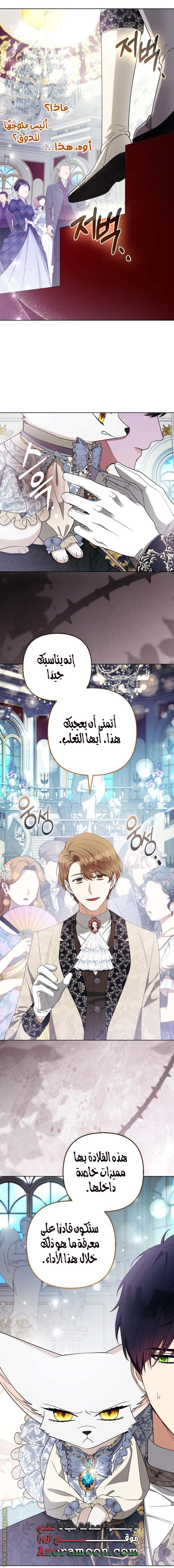 الصفحة 19