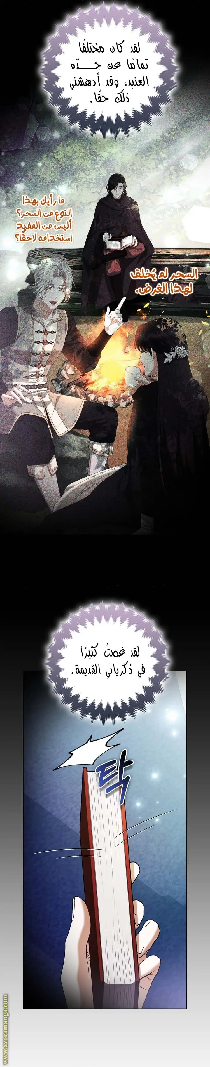 الصفحة 13