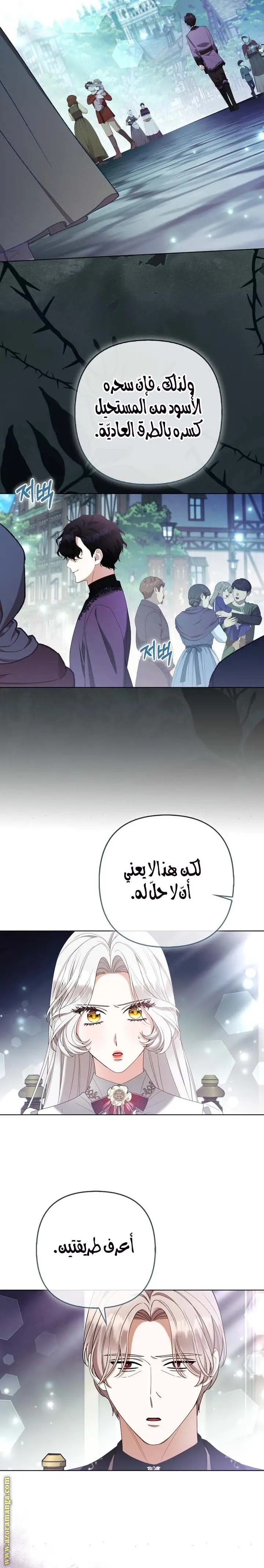 الصفحة 17