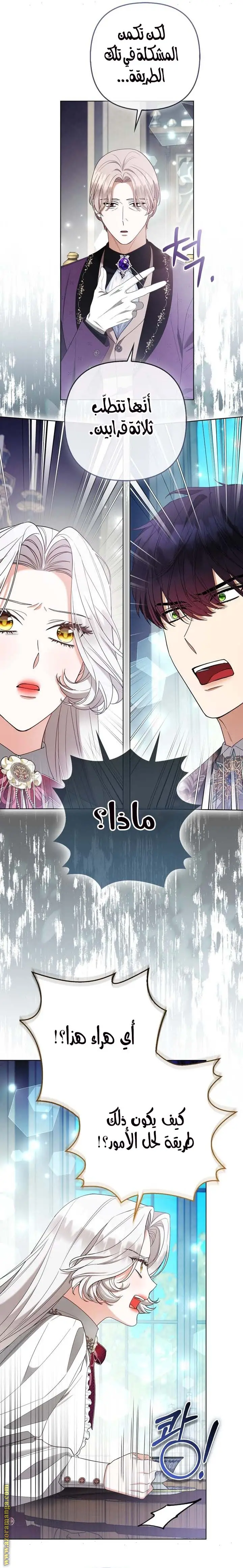 الصفحة 20