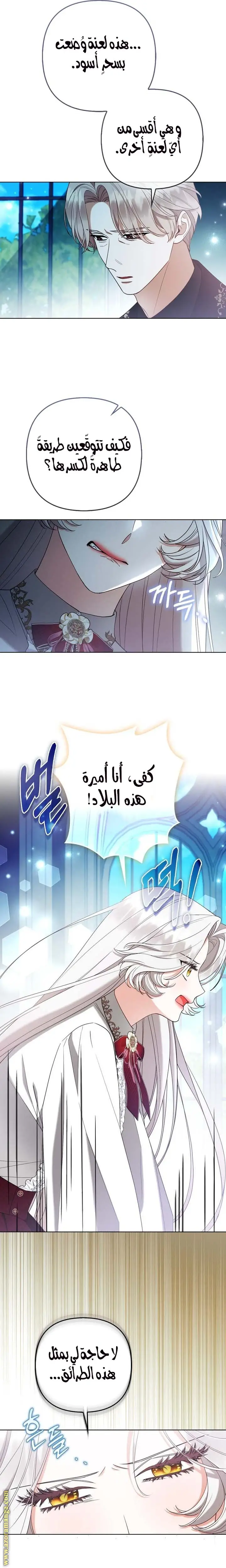 الصفحة 21
