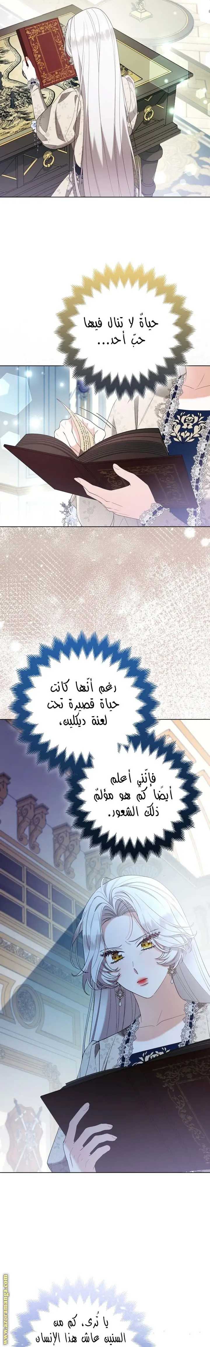 الصفحة 29