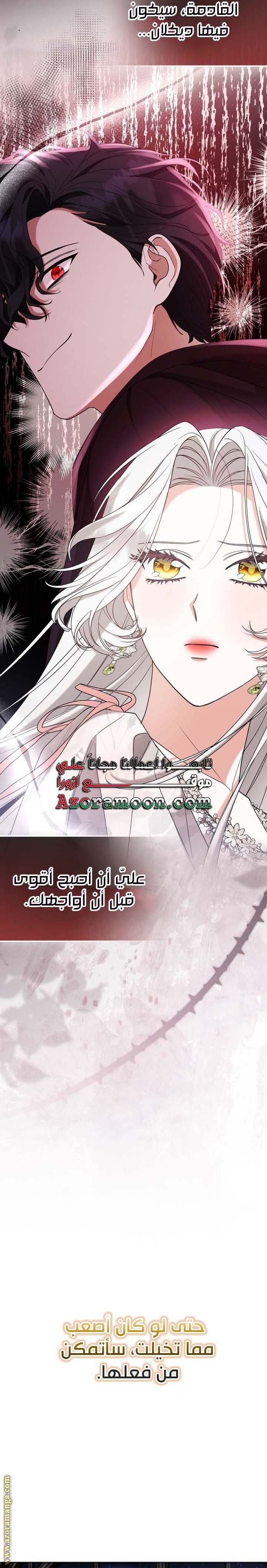 الصفحة 29