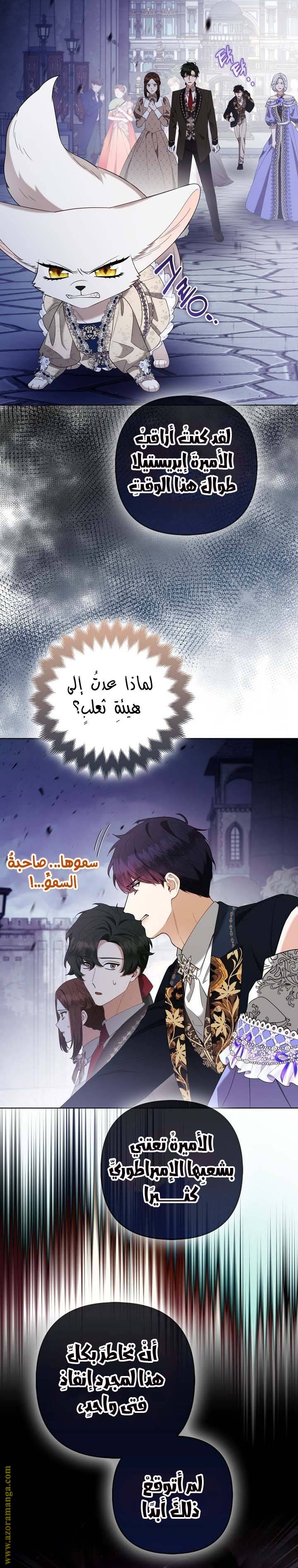 الصفحة 17