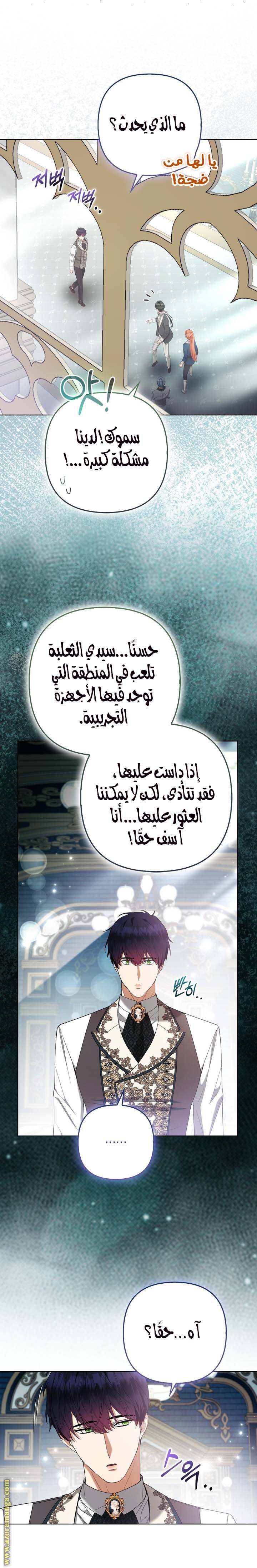 الصفحة 13