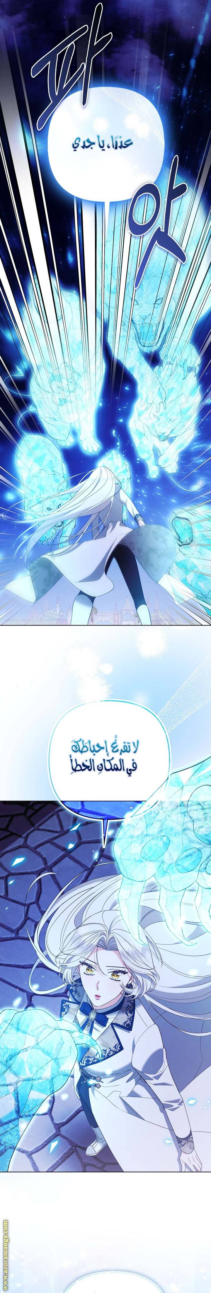 الصفحة 17