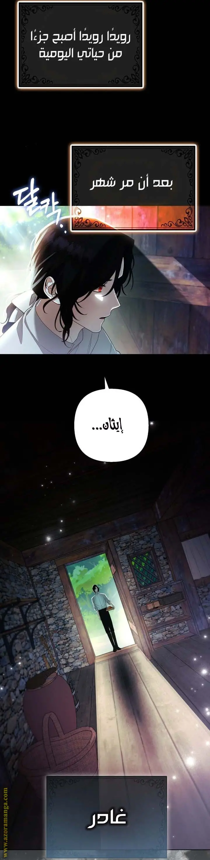 الصفحة 11