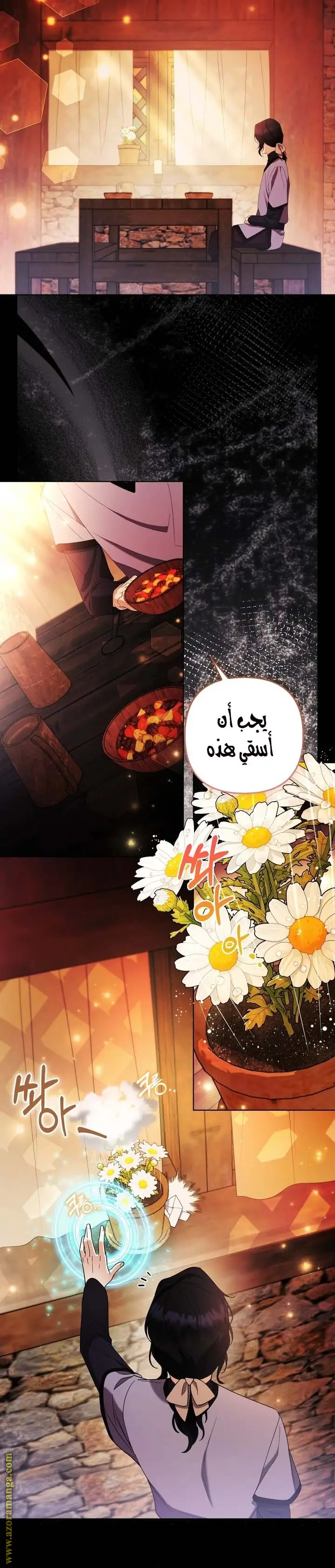 الصفحة 13
