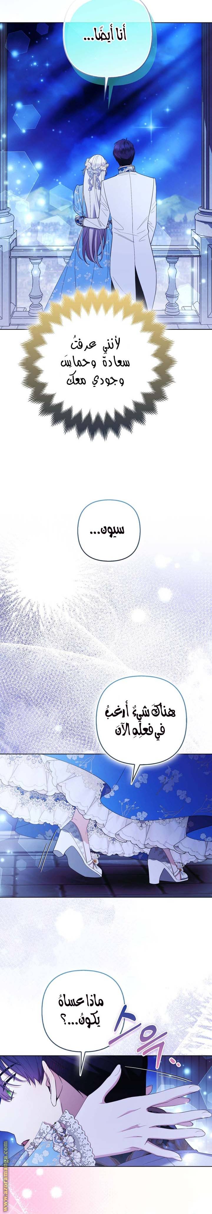 الصفحة 29