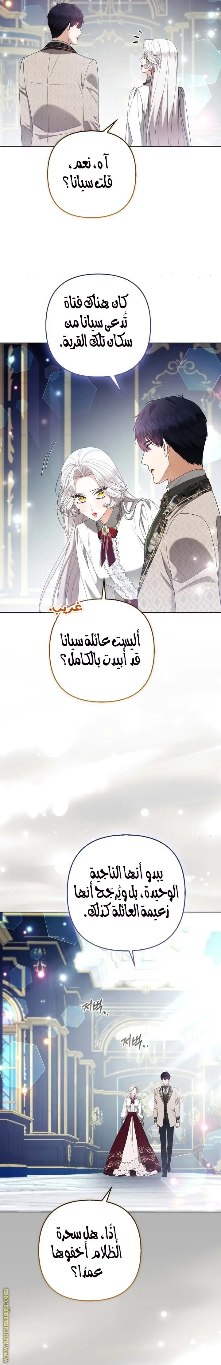 الصفحة 13