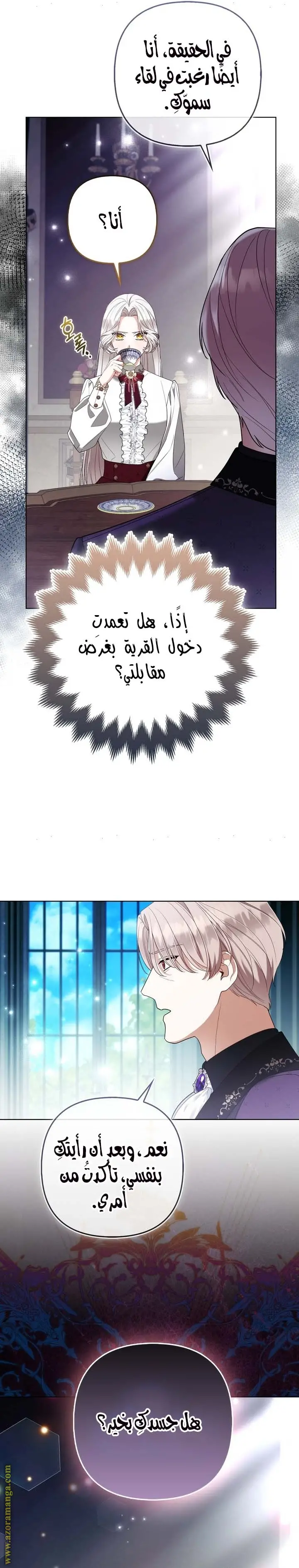 الصفحة 17