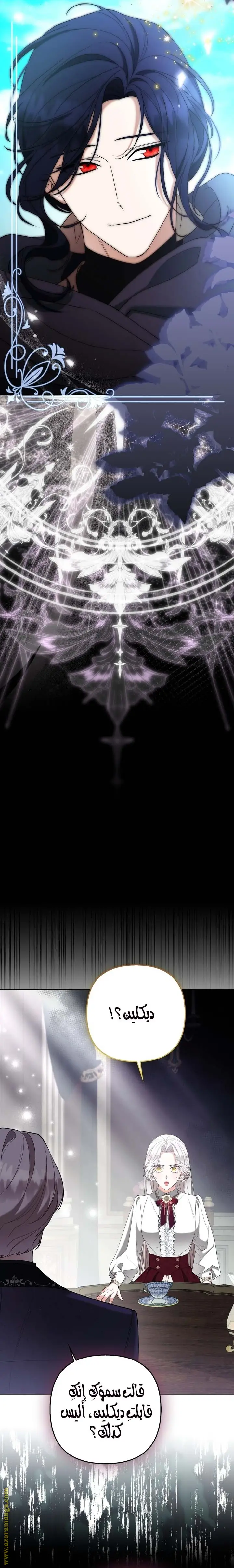 الصفحة 25