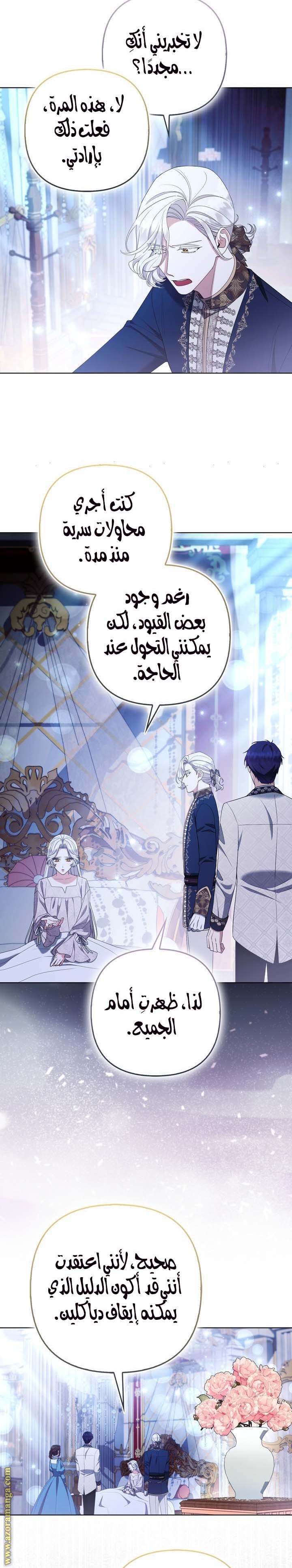 الصفحة 17