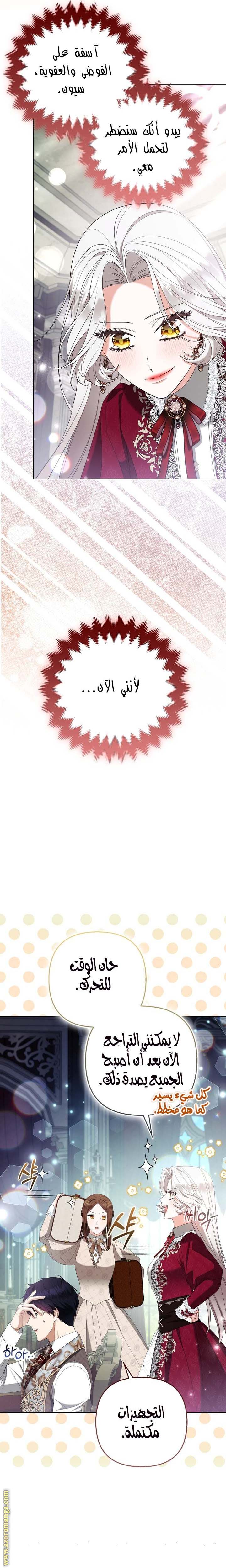 الصفحة 25