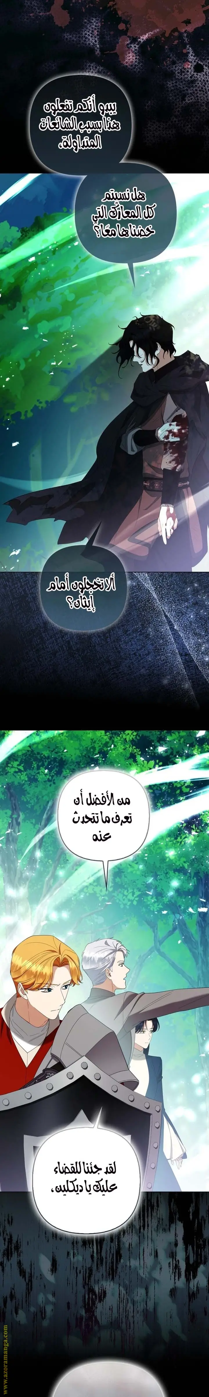 الصفحة 25
