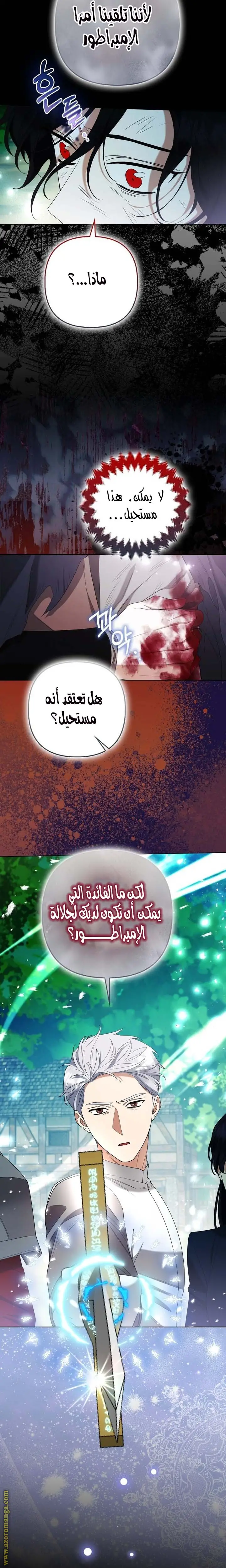 الصفحة 26