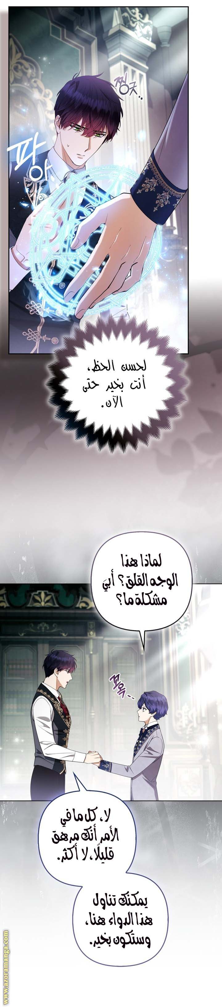 الصفحة 12