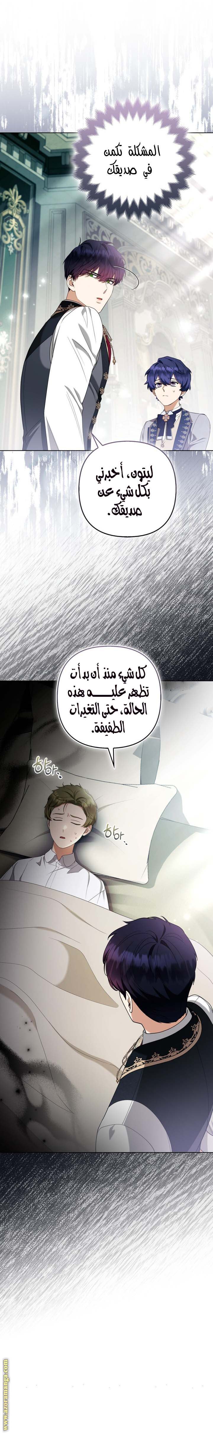 الصفحة 13