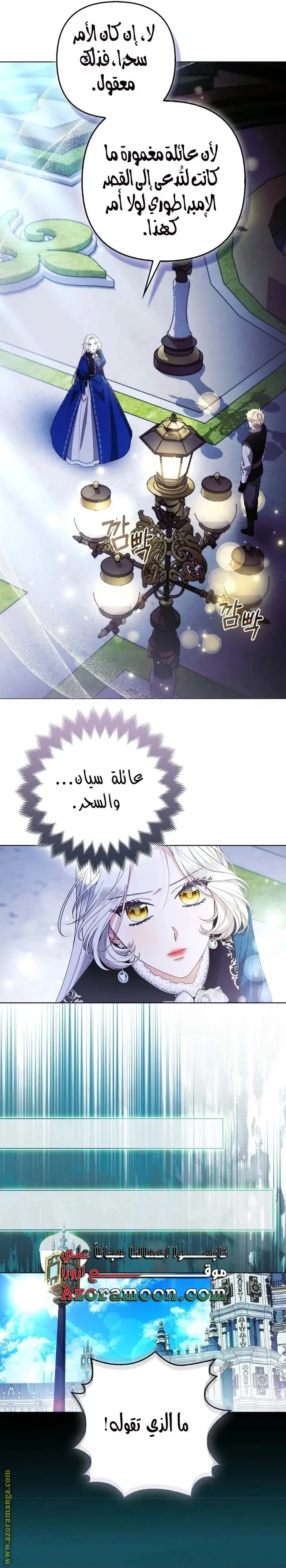 الصفحة 25