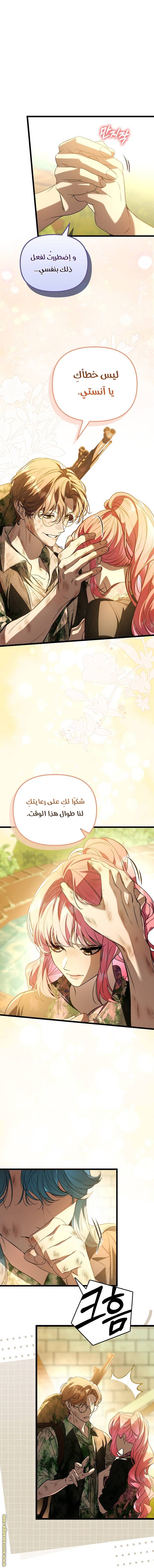 الصفحة 13