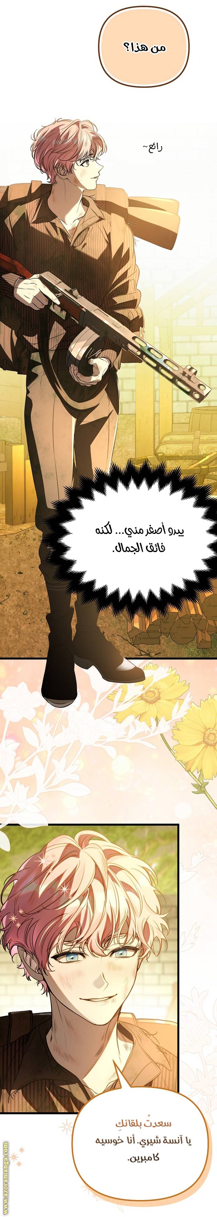 الصفحة 17