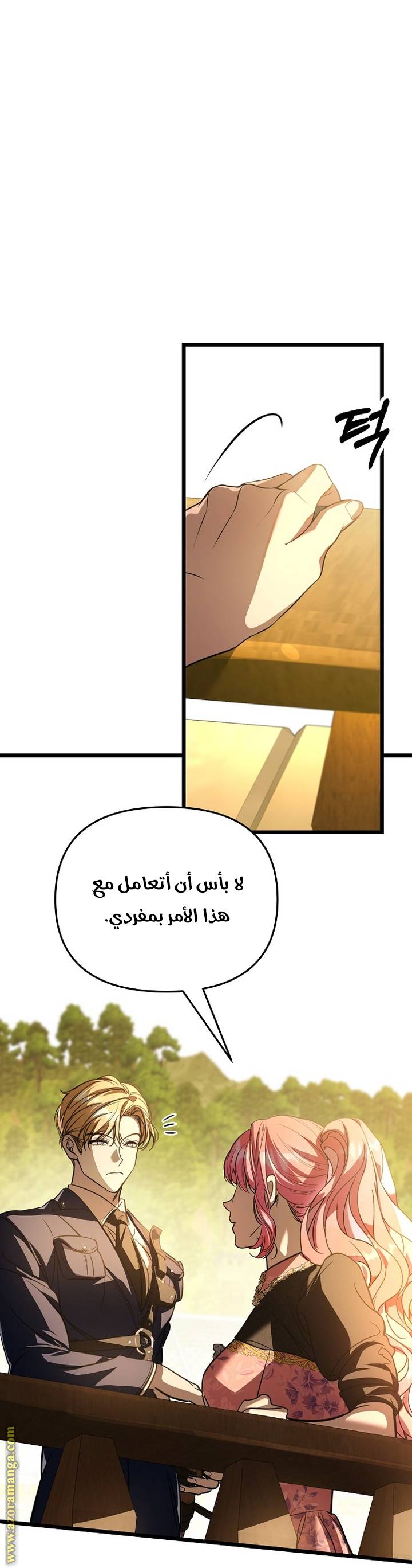 الصفحة 19
