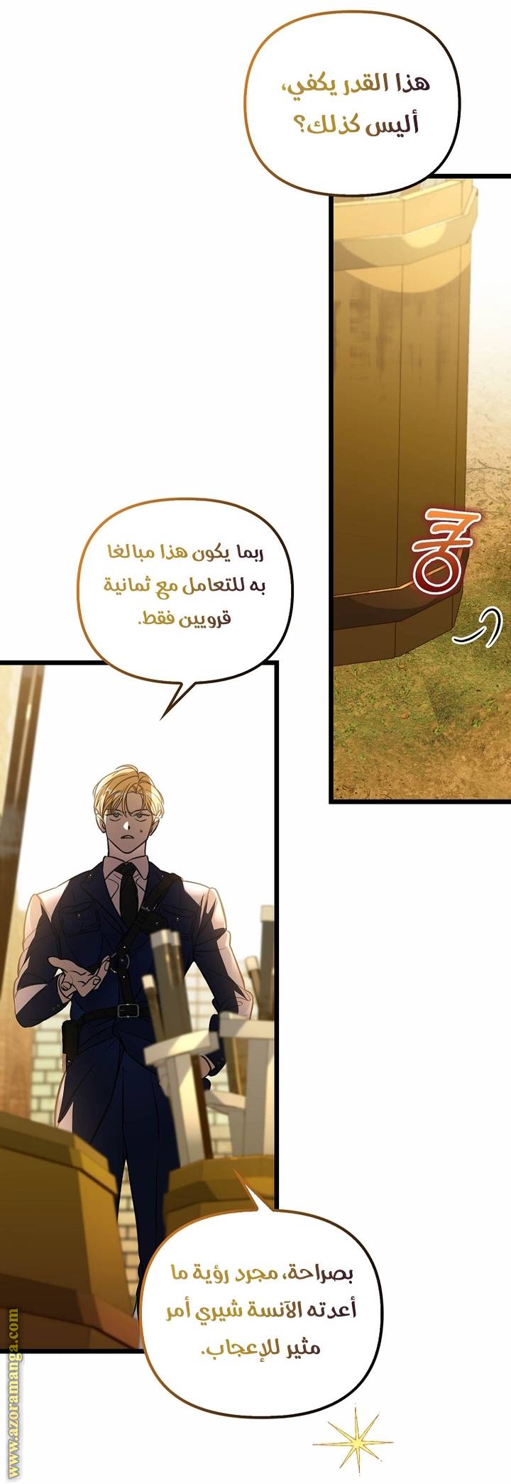 الصفحة 11