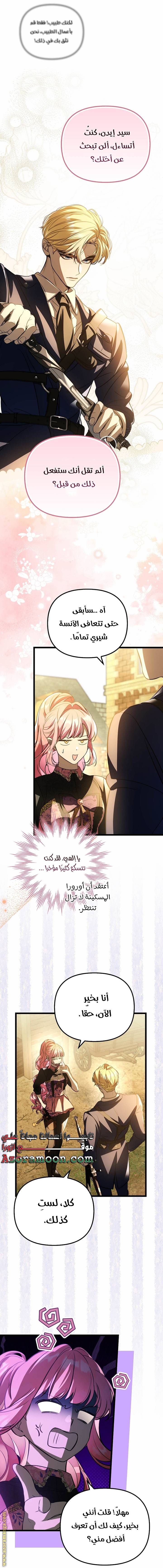 الصفحة 17