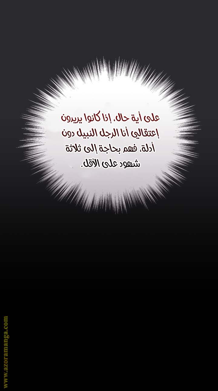الصفحة 31