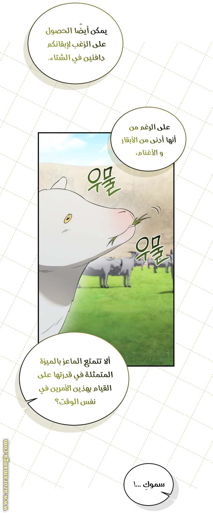 الصفحة 15