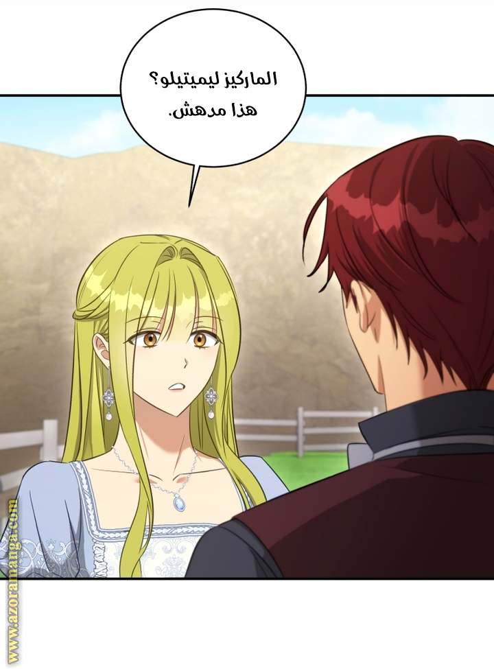 الصفحة 29