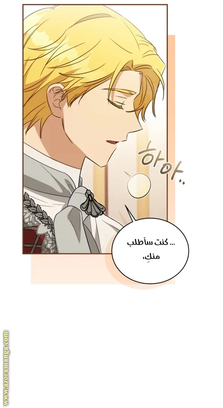 الصفحة 29