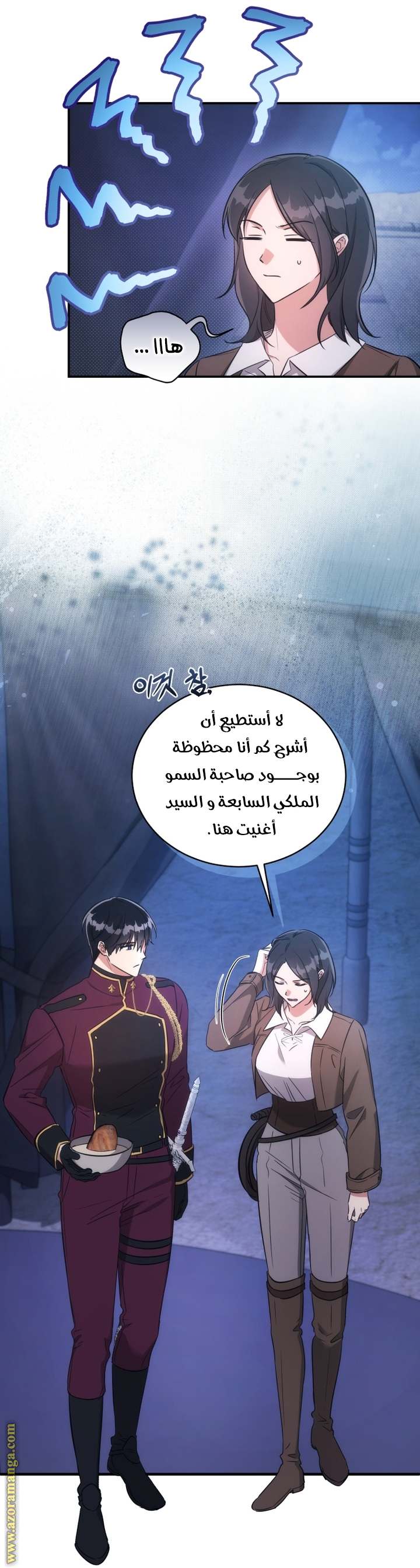 الصفحة 17