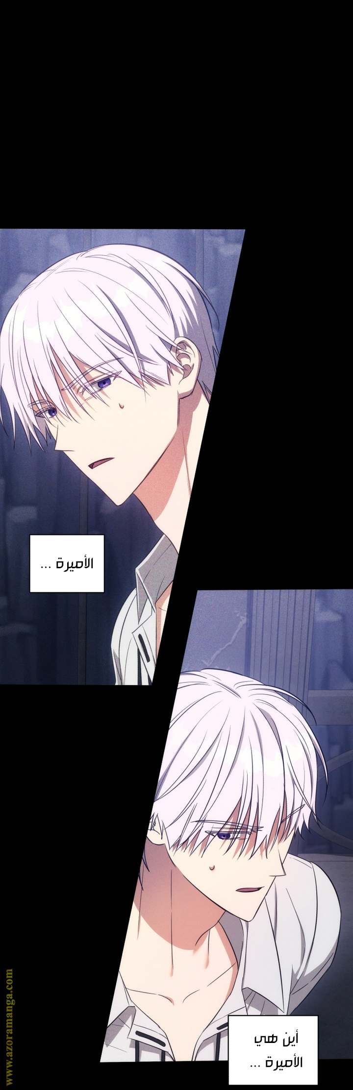 الصفحة 29