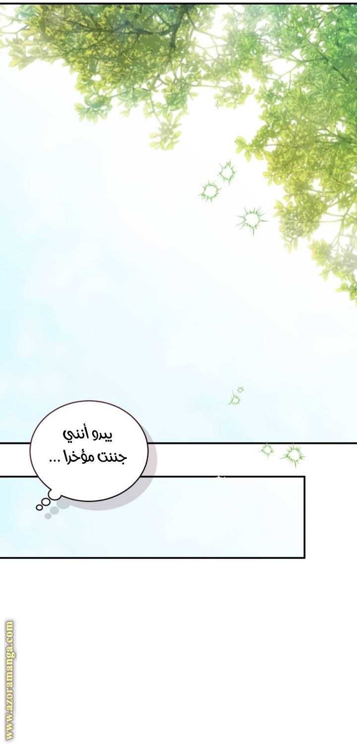 الصفحة 34