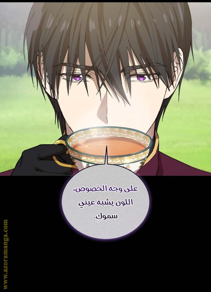 الصفحة 26