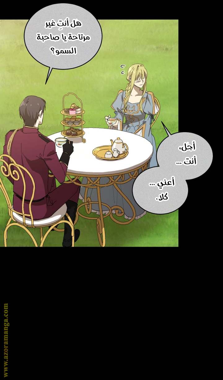 الصفحة 28