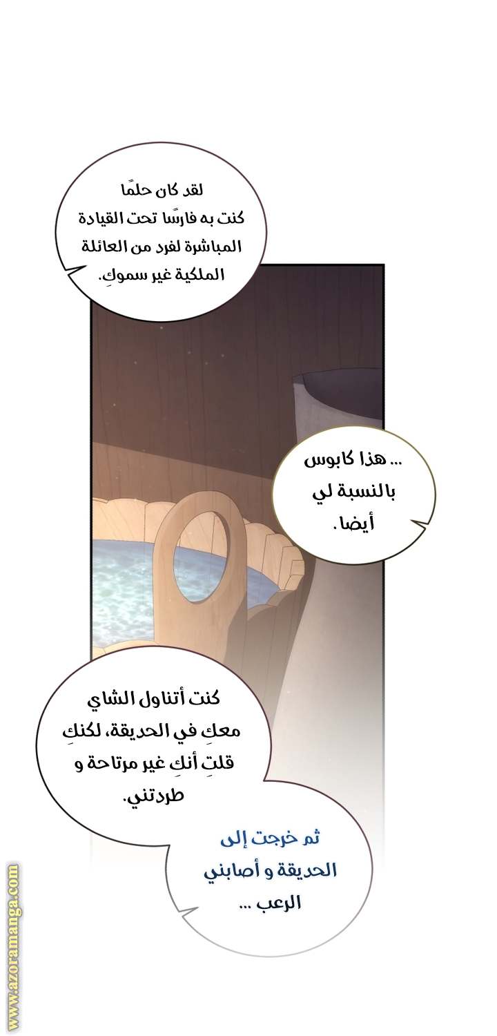 الصفحة 43