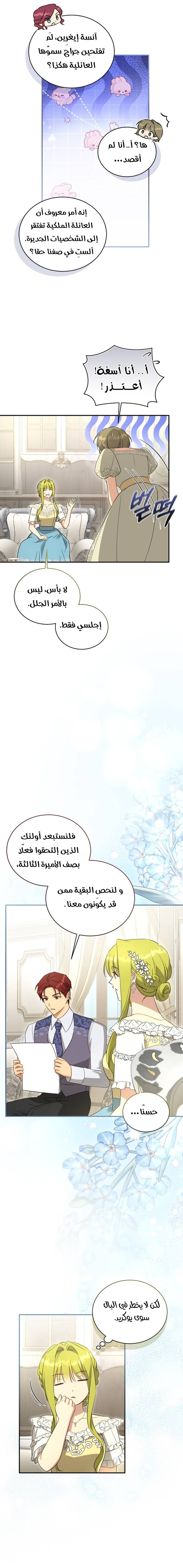 الصفحة 17