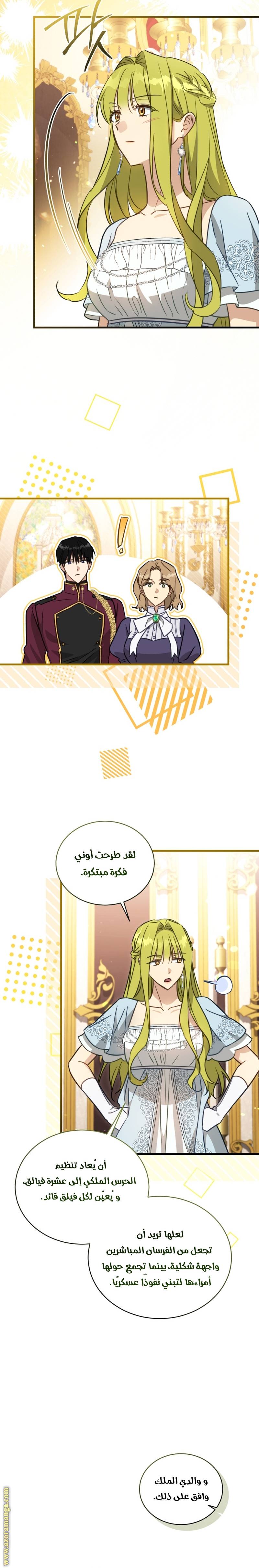 الصفحة 17