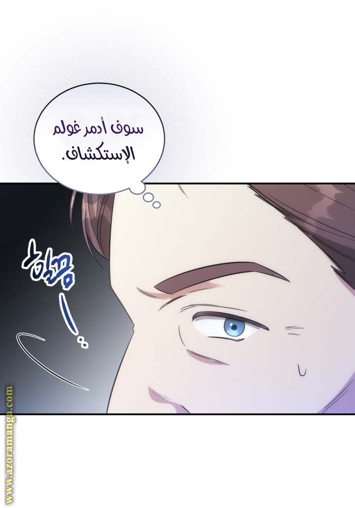 الصفحة 17