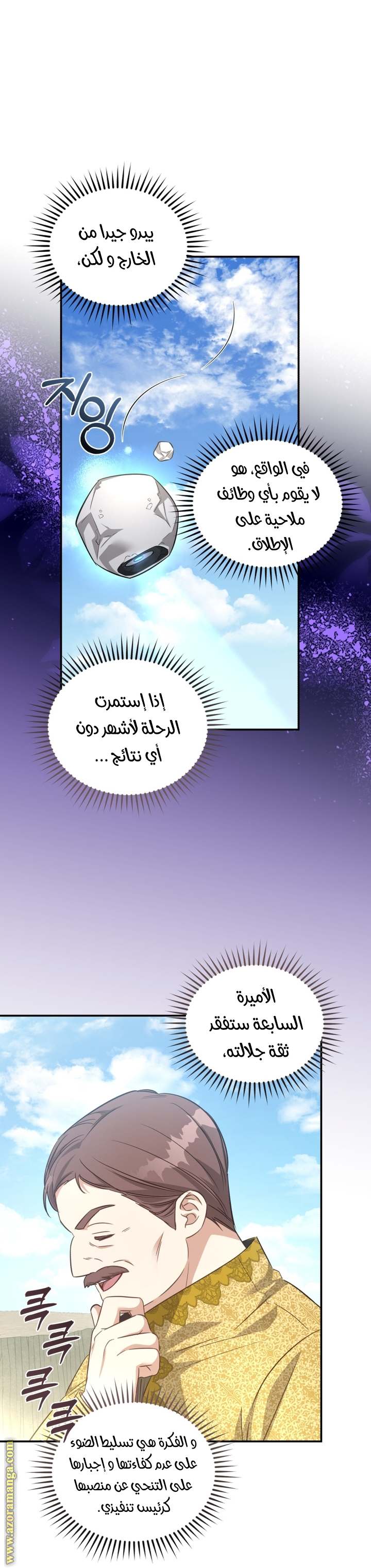 الصفحة 19