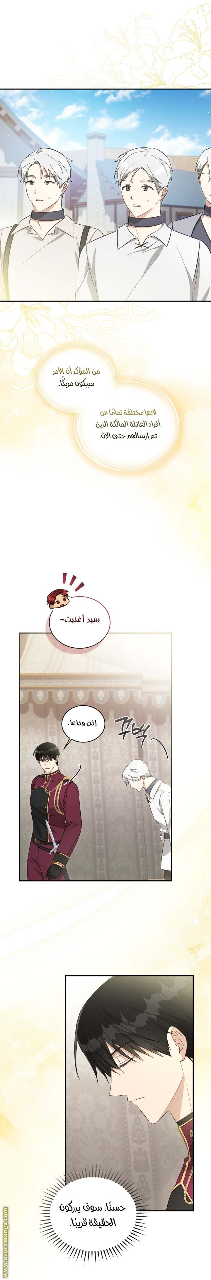 الصفحة 16