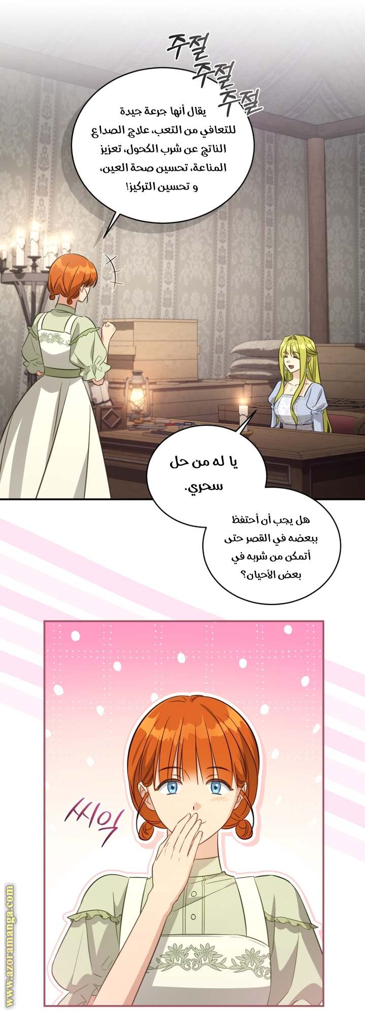 الصفحة 17