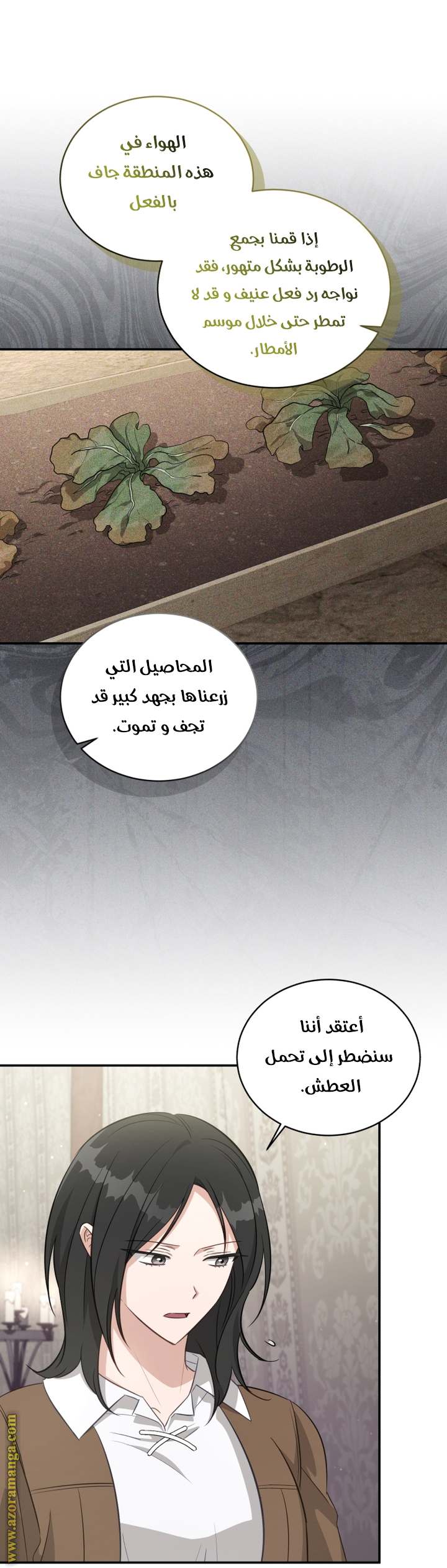 الصفحة 26