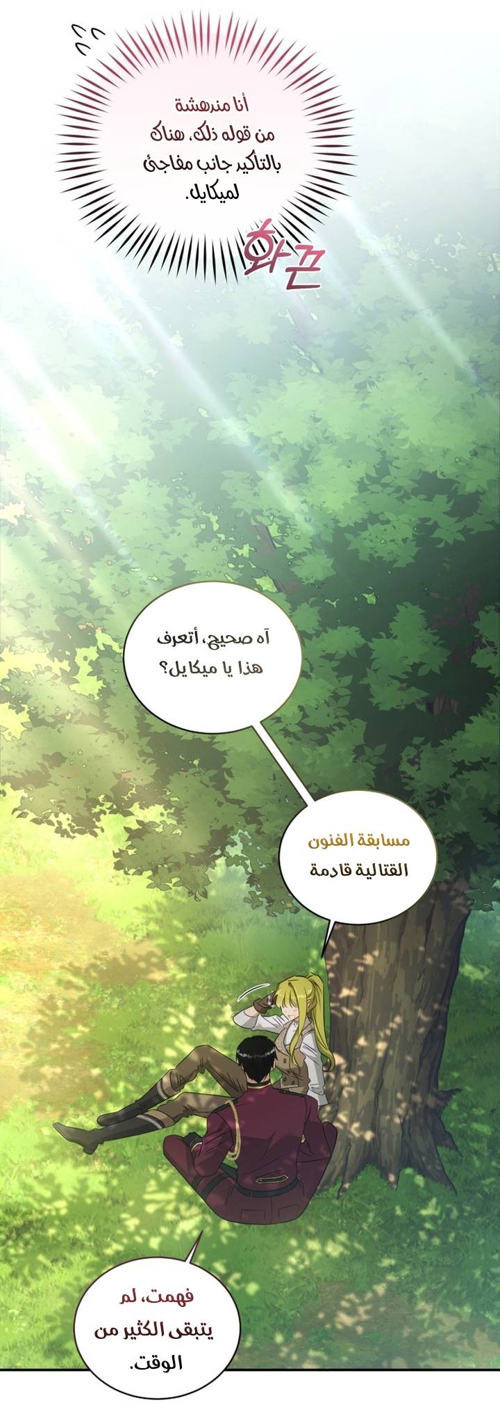 الصفحة 17
