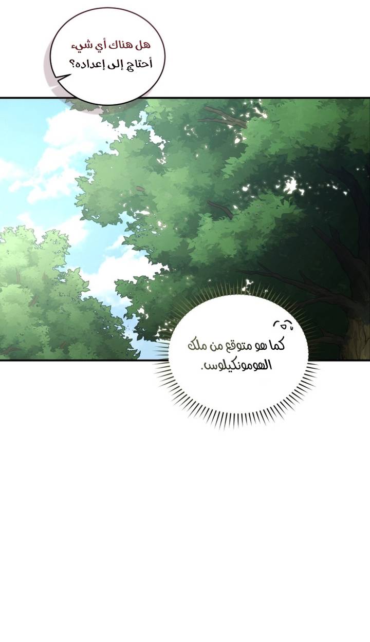 الصفحة 19