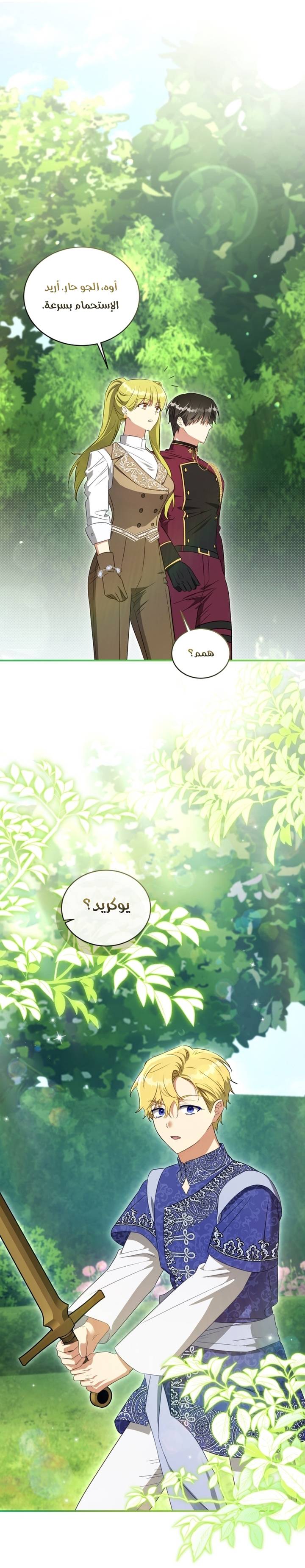 الصفحة 27