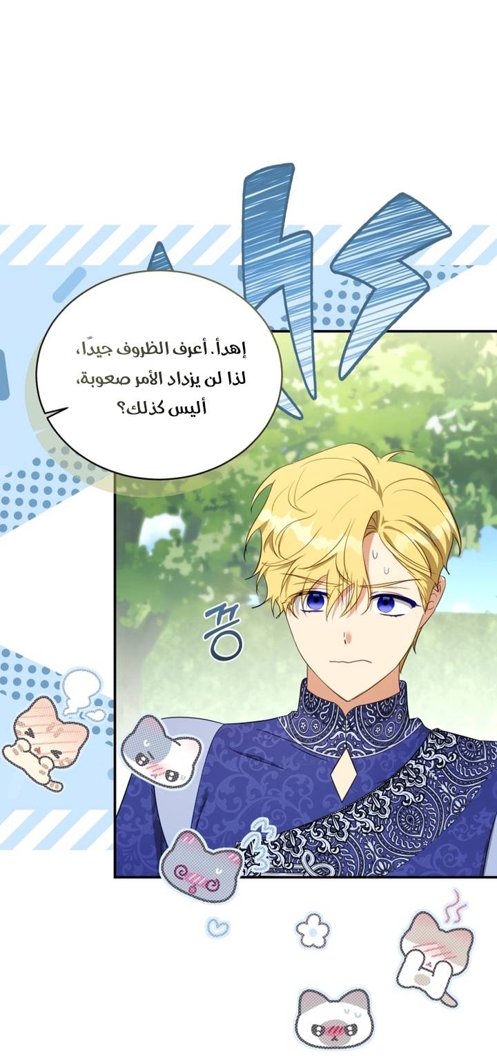 الصفحة 29
